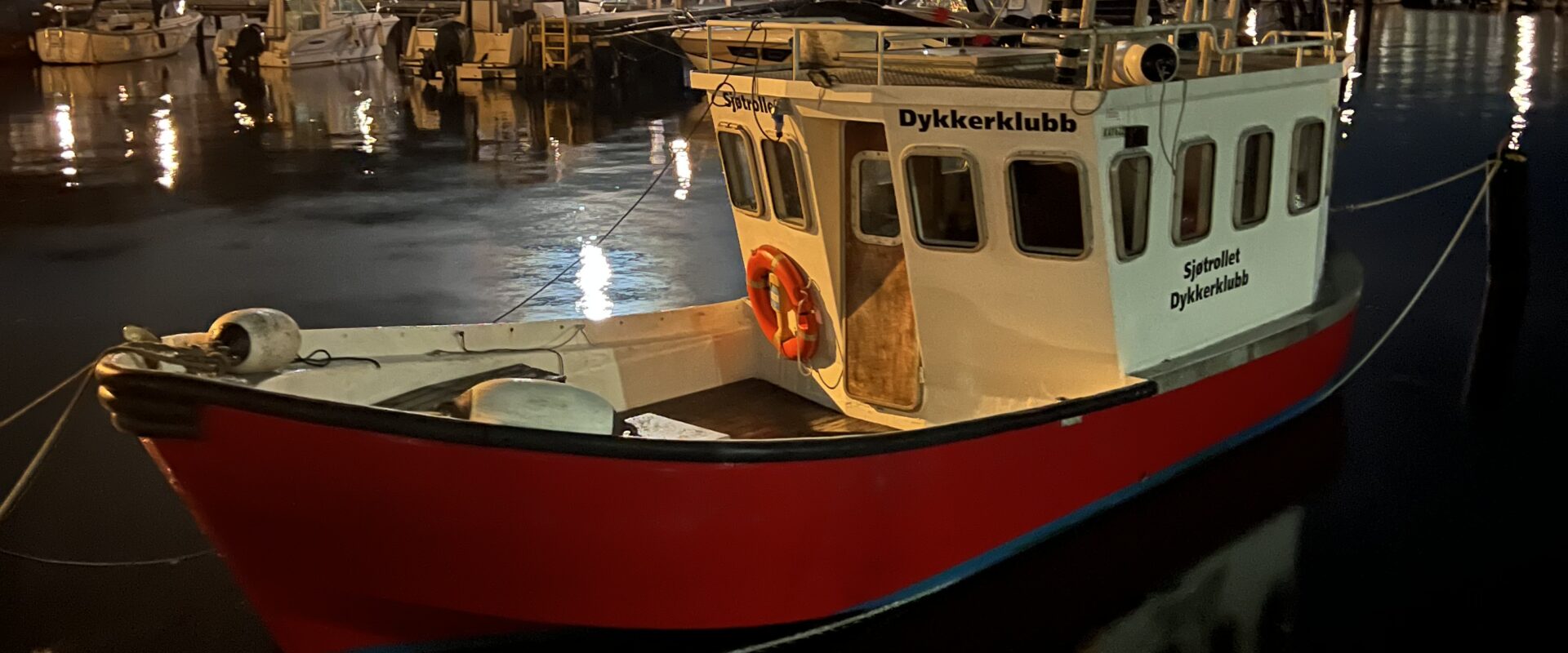 Permalink to: Bli med på dykking i Oslofjorden